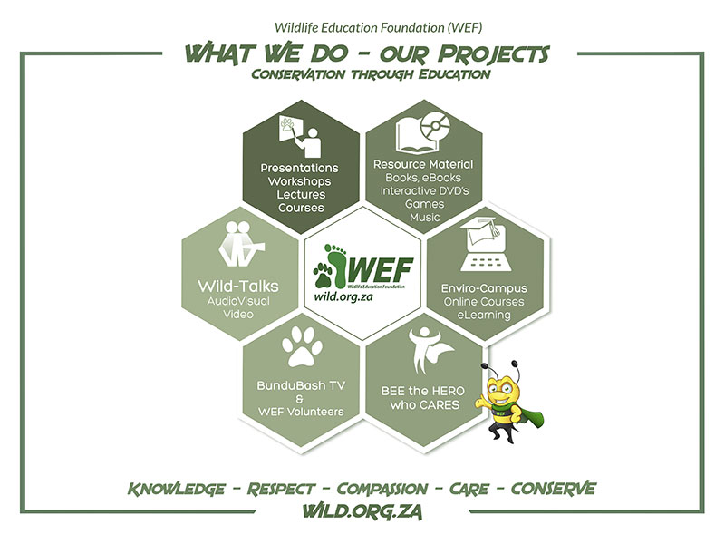 WEF Projects