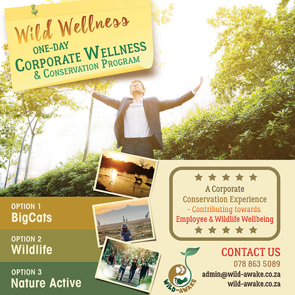 WEF - Wild-Awake Experience