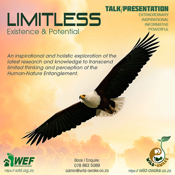 WEF - Wild-Awake Experience