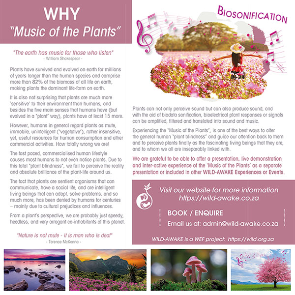 WEF - Wild-Awake Experience