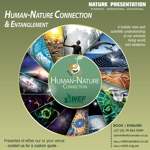 WEF - Wild-Awake Experience