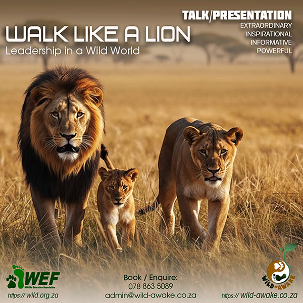 WEF - Wild-Awake Experience