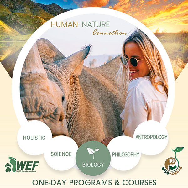 WEF - Wild-Awake Experience