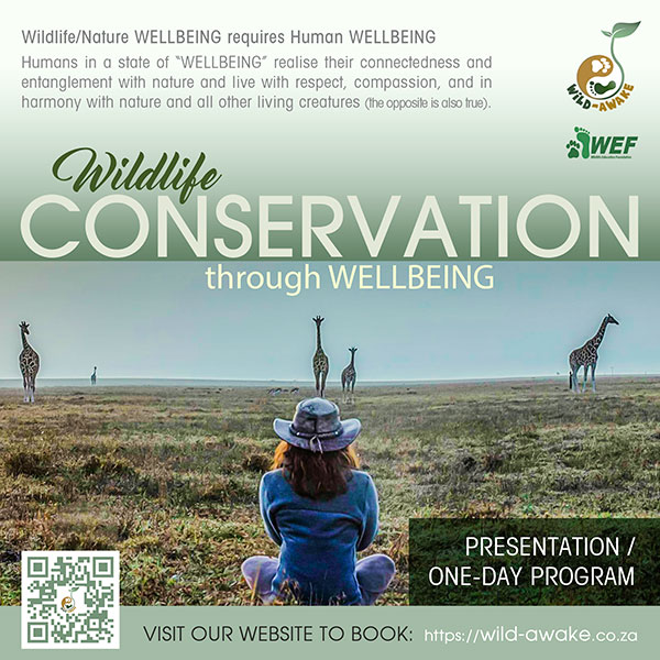 WEF - Wild-Awake Experience