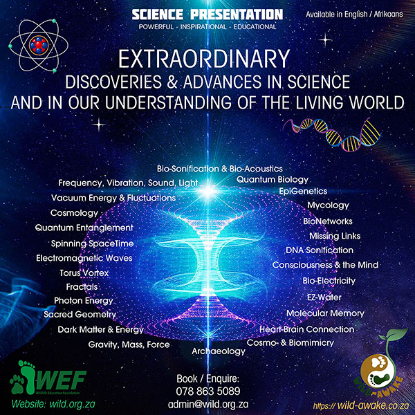 WEF - LESELI Experience